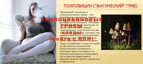 марки nbome Карпинск