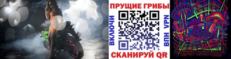 Галлюциногенные грибы Psilocybe Неман